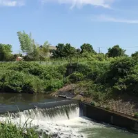 村田川の写真・動画_image_1381226