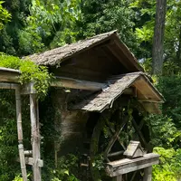 半木神社の写真・動画_image_1382449