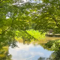半木神社の写真・動画_image_1382450