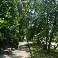 半木の道の写真・動画_image_1382453
