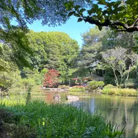平安神宮の写真・動画_image_1382546