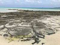 奥武島の畳石の写真・動画_image_1384302