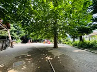 氷川の杜公園の写真・動画_image_1387565