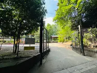 氷川の杜公園の写真・動画_image_1387568