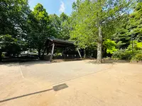 氷川の杜公園の写真・動画_image_1387570