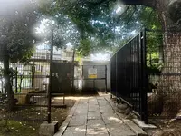 氷川の杜公園の写真・動画_image_1387574