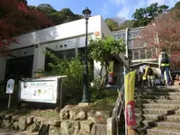 箕面公園昆虫館の写真・動画_image_138770