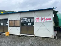 桃茂実苑観光農園の写真・動画_image_1388172
