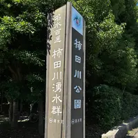 柿田川湧水群の写真・動画_image_1389360