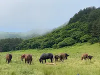 尻屋崎の写真・動画_image_1390502