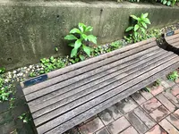 ソウルの森/ソウルスッ/서울숲の写真・動画_image_1392783