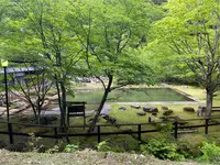 北温泉の写真・動画_image_1393726