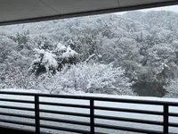 湯処すず風の写真・動画_image_1393759