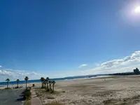 道の駅よつくら港の写真・動画_image_1393769