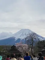 忍野八海の写真・動画_image_1393795