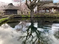 忍野八海の写真・動画_image_1393797
