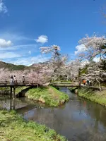 忍野八海の写真・動画_image_1393800