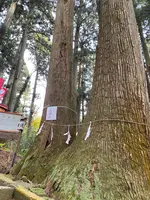 羽黒山展望所の写真・動画_image_1393821