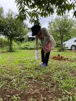 ショコロンファーム市ノ澤栗園当日予約可焼き栗土日祝のみOPEN（発送不可）の写真・動画_image_1393828