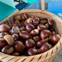 ショコロンファーム市ノ澤栗園当日予約可焼き栗土日祝のみOPEN（発送不可）の写真・動画_image_1393832