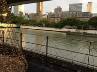 スミレ　オオサカの写真・動画_image_139429