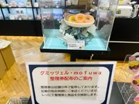 ヒトツブカンロの写真・動画_image_1395006