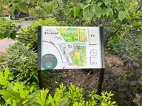 おかしの時間の写真・動画_image_1397994