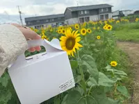 おかしの時間の写真・動画_image_1397999