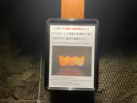 江の島岩屋の写真・動画_image_1411052
