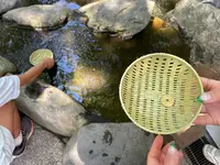 江島神社 辺津宮の写真・動画_image_1411206