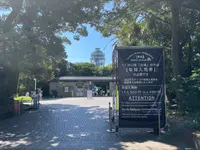 江島神社 辺津宮の写真・動画_image_1411219