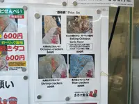 あさひ本店の写真・動画_image_1411297