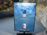 新江ノ島水族館の写真・動画_image_1411315