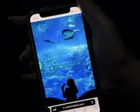 新江ノ島水族館の写真・動画_image_1411316