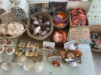 Lucky Meal Mermaid（ラッキーミールマーメイド）の写真・動画_image_1411341