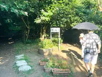 恋人の丘 龍恋の鐘の写真・動画_image_1411375