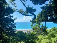 久能山東照宮の写真・動画_image_1415644
