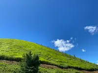大室山登山リフトの写真・動画_image_1415657