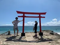 白浜神社の写真・動画_image_1415692