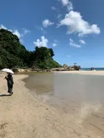 白浜神社の写真・動画_image_1415693