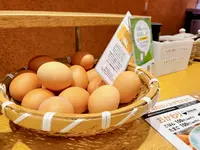 赤坂うまや うちのたまご直売所 羽田空港店の写真・動画_image_1422974