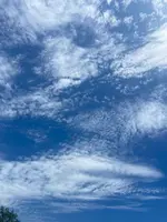 びわ湖のみえる丘の写真・動画_image_1426362