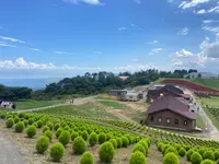 びわ湖のみえる丘の写真・動画_image_1426368