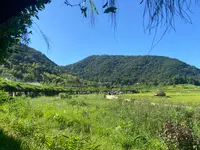 ラコリーナ近江八幡の写真・動画_image_1426394