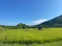 ラコリーナ近江八幡の写真・動画_image_1426402