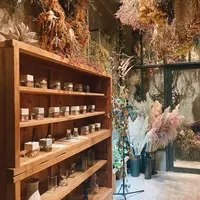 BANKの写真・動画_image_1436567