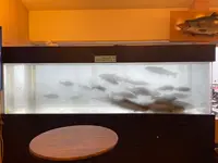 ポロピナイ食堂の写真・動画_image_1438521