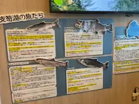 ポロピナイ食堂の写真・動画_image_1438522