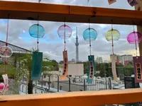 浅草横町の写真・動画_image_1443569