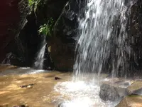 金引の滝の写真・動画_image_144508